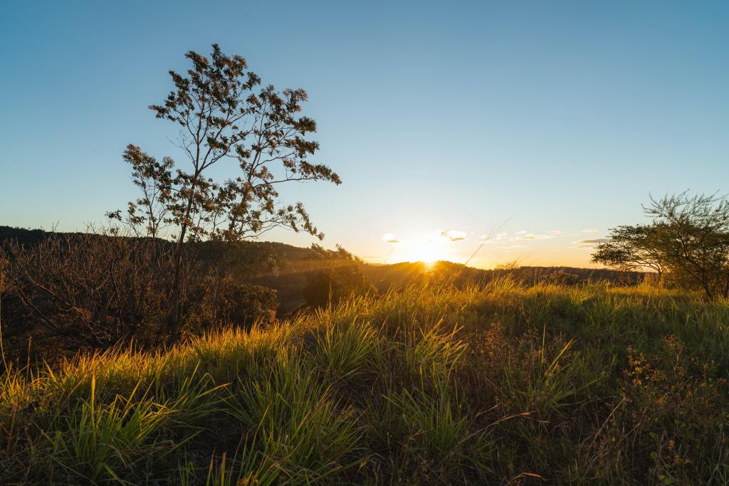 Photo of meadow at sunrise